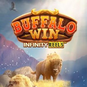 Buffalo Win Review